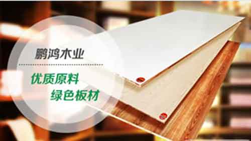 2016年中國十大板材品牌名單