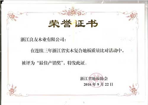 大藝樹(shù)地板同時(shí)榮獲省地板協(xié)會(huì)頒發(fā)的兩項(xiàng)大獎(jiǎng)