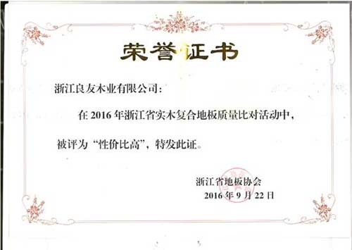 大藝樹(shù)地板同時(shí)榮獲省地板協(xié)會(huì)頒發(fā)的兩項(xiàng)大獎(jiǎng)