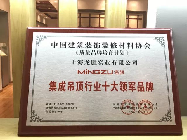 吊頂品牌榮譽|名族獲集成吊頂行業(yè)十大領(lǐng)軍品牌等多項大獎