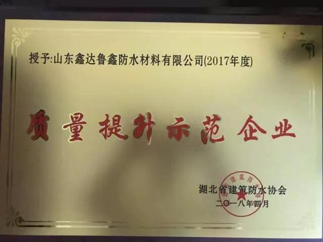 品牌大事|魯鑫防水參加2017湖北省建筑防水行業(yè)質量提升工作會議