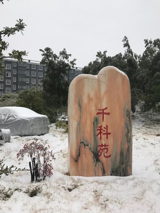 千科潘遠(yuǎn)宏：智能產(chǎn)品、智慧營銷一手抓，智能終端是品牌最后浪潮