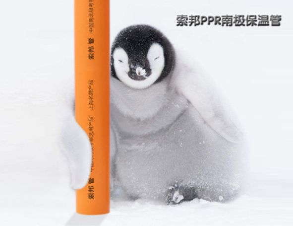 品牌產(chǎn)品|索邦PPR南極保溫管，企鵝寶寶最愛的高端管材