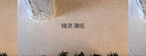 森尼迪克藝術涂料攜帶150年的浪漫品牌，來到中國誠招加盟