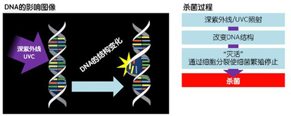 消費者開始關注到車載空氣凈化器，原來如此重要