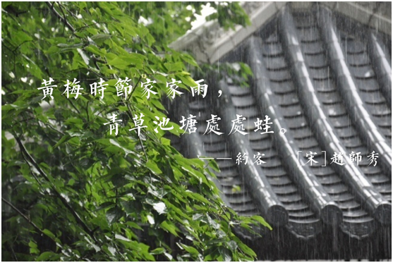 蒙蒂尼不銹鋼櫥柜，讓廚房告別梅雨季