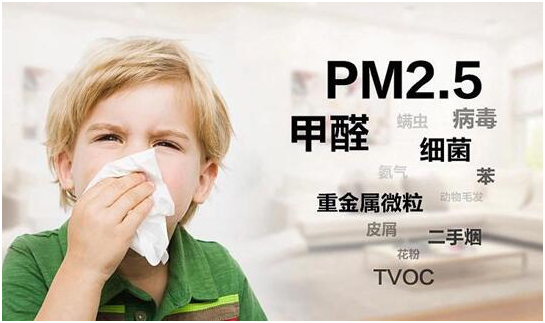 綠樹漆|“凈味呼吸”系列漆，開啟家居新“凈”界