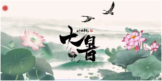 【大暑】將軍板材：炎炎夏日，一份家居清涼指南請查收